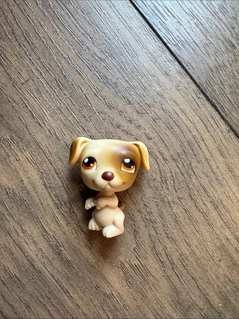 Hasbro Littlest Pet Shop Jack Russell Terrier #109 Toy Brown & Cream